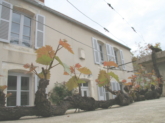 photo_maison